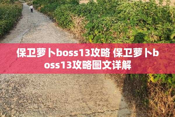 保卫萝卜boss13攻略 保卫萝卜boss13攻略图文详解