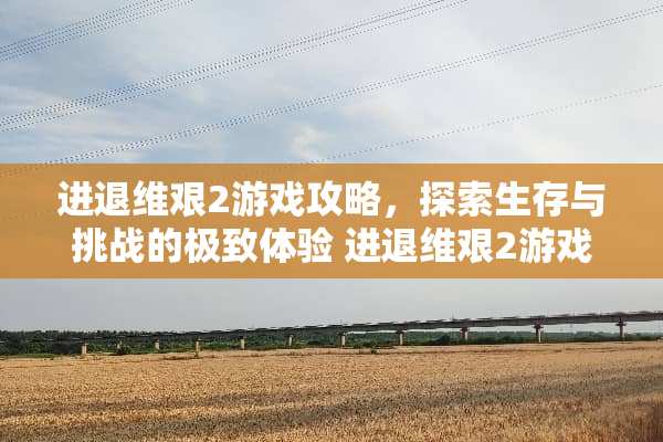 进退维艰2游戏攻略，探索生存与挑战的极致体验 进退维艰2游戏攻略
