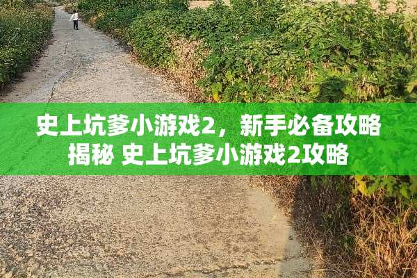 史上坑爹小游戏2，新手必备攻略揭秘 史上坑爹小游戏2攻略