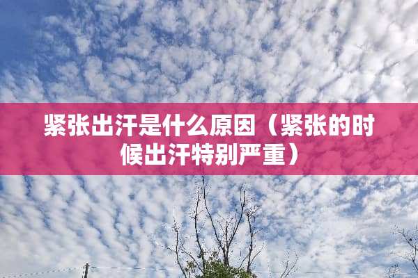 紧张出汗是什么原因（紧张的时候出汗特别严重）