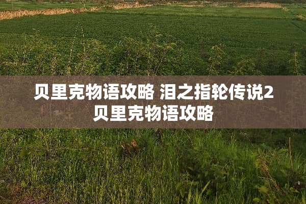 贝里克物语攻略 泪之指轮传说2贝里克物语攻略