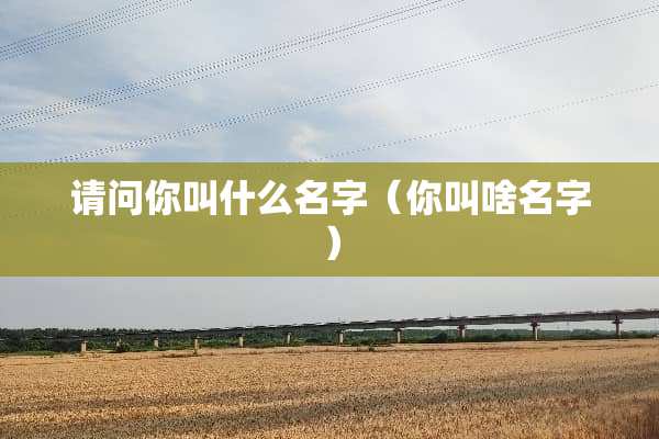 请问你叫什么名字（你叫啥名字）