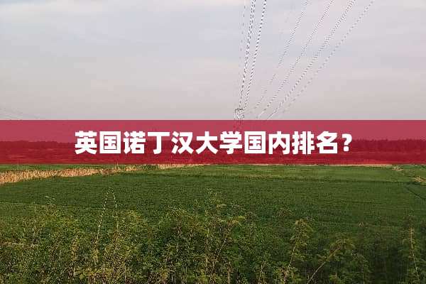 英国诺丁汉大学国内排名？