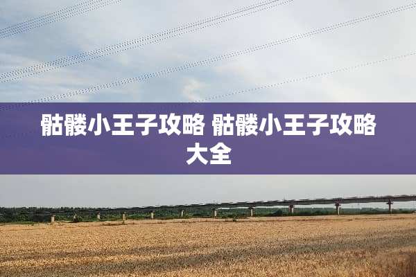 骷髅小王子攻略 骷髅小王子攻略大全