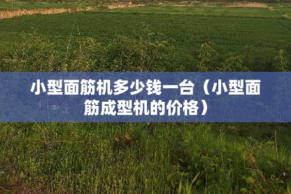 小型面筋机多少钱一台(小型面筋成型机的价格) 小型面筋机多少钱一台(小型面筋成型机的价格)