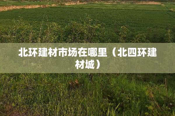北环建材市场在哪里(北四环建材城) 北环建材市场在哪里(北四环建材城)