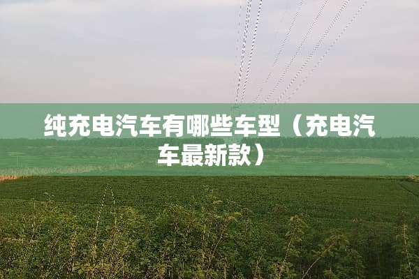 纯充电汽车有哪些车型(充电汽车最新款) 纯充电汽车有哪些车型(充电汽车最新款)