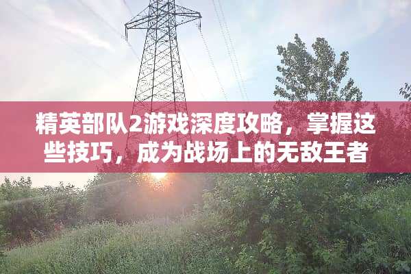 精英**2游戏深度攻略,掌握这些技巧,成为战场上的无敌王者 精英**2小游戏攻略 精英**2游戏深度攻略,掌握这些技巧,成为战场上的无敌王者 精英**2小游戏攻略