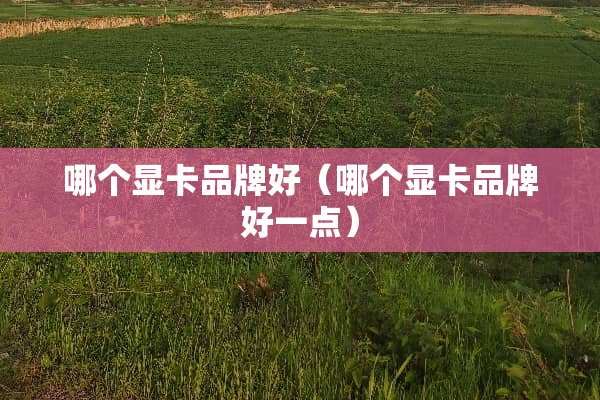 哪个显卡品牌好(哪个显卡品牌好一点) 哪个显卡品牌好(哪个显卡品牌好一点)