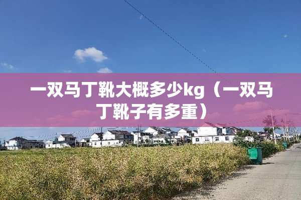 一双马丁靴大概多少kg（一双马丁靴子有多重）