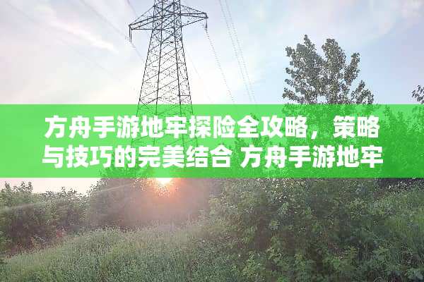 方舟手游地牢探险全攻略，策略与技巧的完美结合 方舟手游地牢攻略