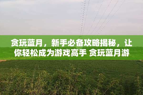 贪玩蓝月,新手必备攻略揭秘,让你轻松成为游戏高手 贪玩蓝月游戏攻略介绍 贪玩蓝月,新手必备攻略揭秘,让你轻松成为游戏高手 贪玩蓝月游戏攻略介绍