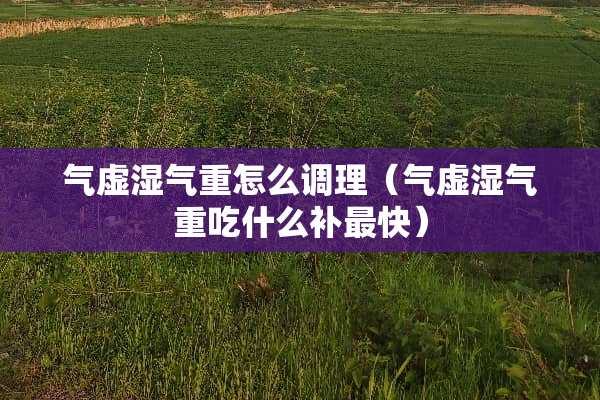 气虚湿气重怎么调理(气虚湿气重吃什么补最快) 气虚湿气重怎么调理(气虚湿气重吃什么补最快)