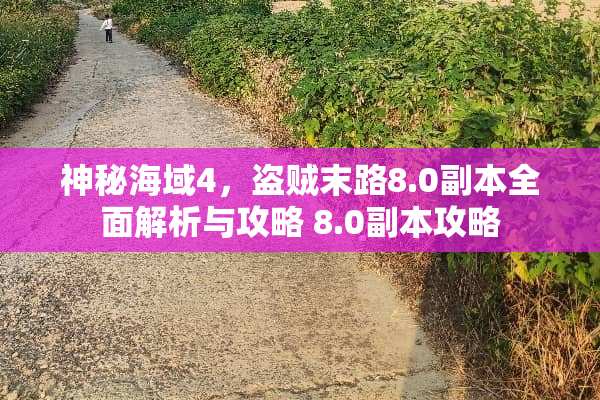 神秘海域4，盗贼末路8.0副本全面解析与攻略 8.0副本攻略