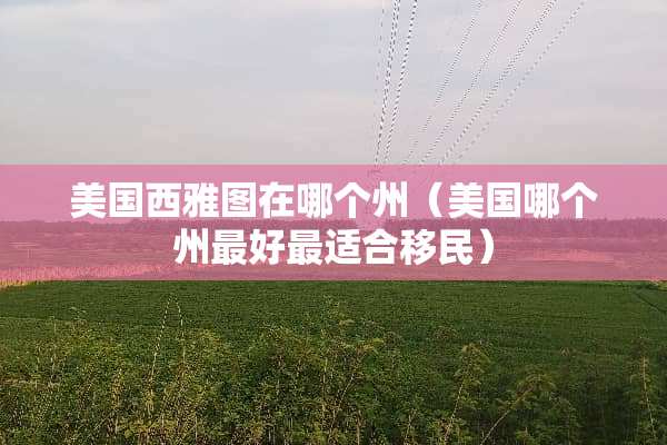 美国西雅图在哪个州（美国哪个州最好最适合移民）