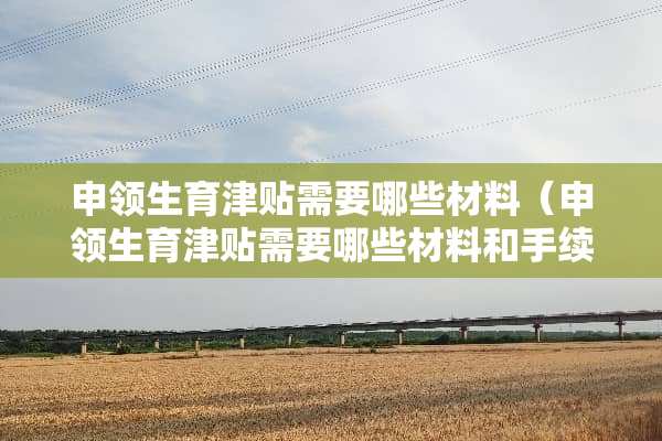 申领生育津贴需要哪些材料（申领生育津贴需要哪些材料和手续）