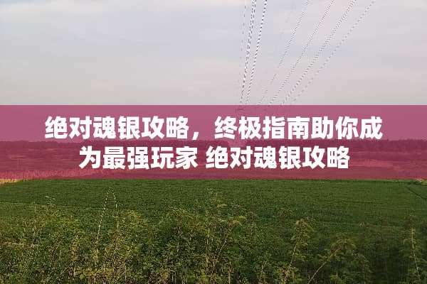 绝对魂银攻略，终极指南助你成为最强玩家 绝对魂银攻略