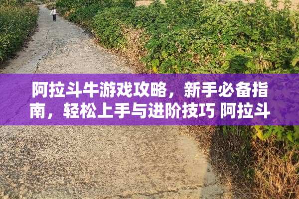 阿拉斗牛游戏攻略,新手必备指南,轻松上手与进阶技巧 阿拉斗牛游戏攻略 阿拉斗牛游戏攻略,新手必备指南,轻松上手与进阶技巧 阿拉斗牛游戏攻略