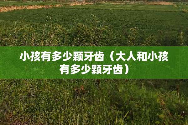 小孩有多少颗牙齿（大人和小孩有多少颗牙齿）