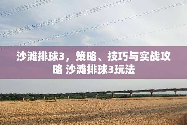 沙滩排球3，策略、技巧与实战攻略 沙滩排球3玩法