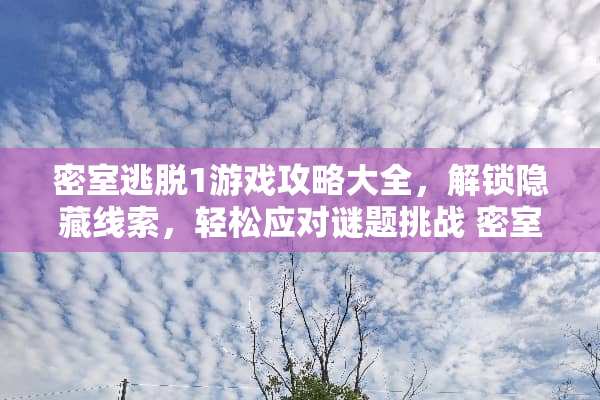 密室逃脱1游戏攻略大全，解锁隐藏线索，轻松应对谜题挑战 密室逃脱1游戏攻略大全
