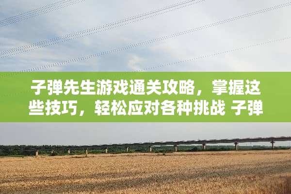 子弹先生游戏通关攻略，掌握这些技巧，轻松应对各种挑战 子弹先生游戏通关攻略
