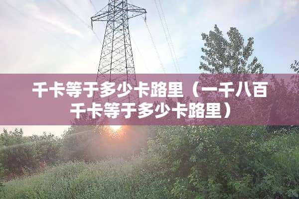 千卡等于多少卡路里（一千八百千卡等于多少卡路里）