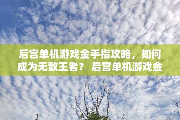 后宫单机游戏金手指攻略，如何成为无敌王者？ 后宫单机游戏金手指攻略