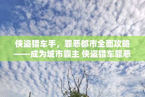 侠盗猎车手，罪恶都市全面攻略——成为城市霸主 侠盗猎车罪恶都市攻略