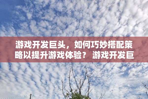 游戏开发巨头，如何巧妙搭配策略以提升游戏体验？ 游戏开发巨头搭配攻略