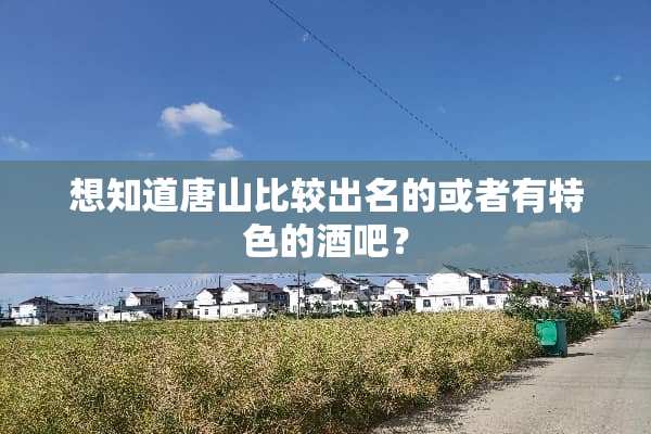 想知道唐山比较出名的或者有特色的酒吧？