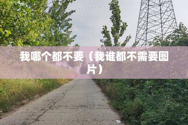 我哪个都不要（我谁都不需要图片）