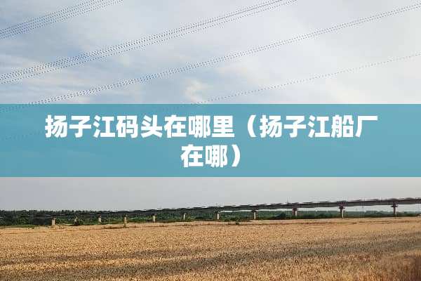 扬子江码头在哪里(扬子江船厂在哪) 扬子江码头在哪里(扬子江船厂在哪)