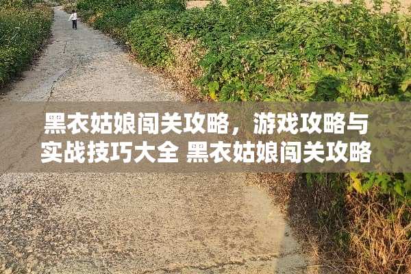 黑衣姑娘闯关攻略，游戏攻略与实战技巧大全 黑衣姑娘闯关攻略游戏