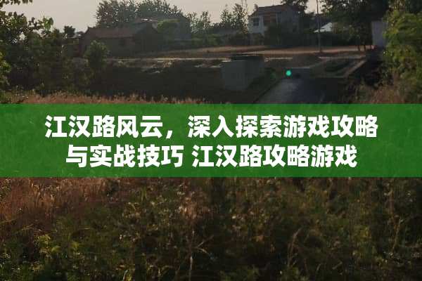 江汉路风云，深入探索游戏攻略与实战技巧 江汉路攻略游戏