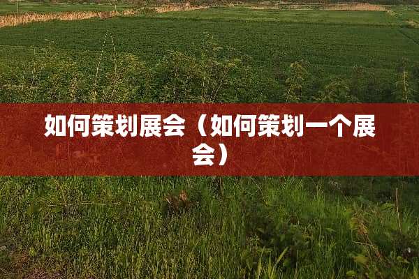 如何策划展会（如何策划一个展会）
