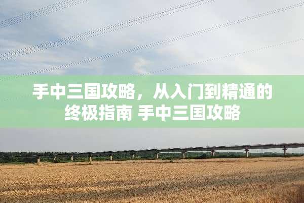手中三国攻略，从入门到精通的终极指南 手中三国攻略