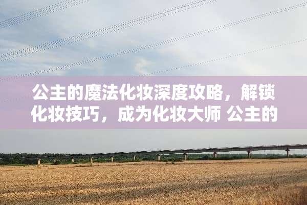 公主的魔法化妆深度攻略，解锁化妆技巧，成为化妆大师 公主的魔法化妆游戏攻略