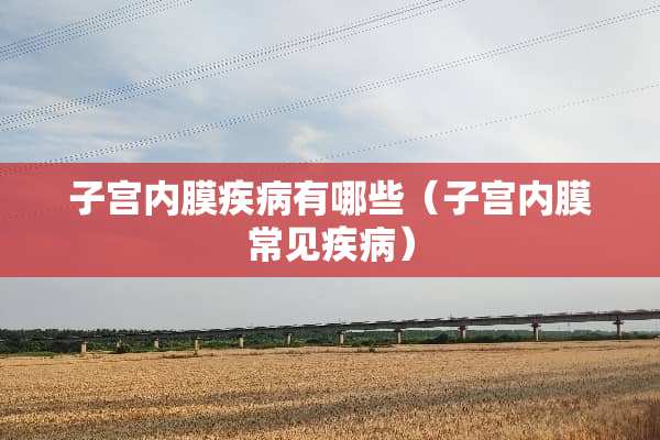 子宫内膜疾病有哪些（子宫内膜常见疾病）