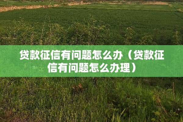 贷款征信有问题怎么办（贷款征信有问题怎么办理）