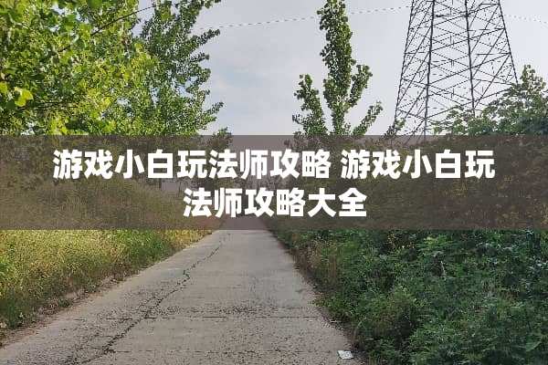 游戏小白玩法师攻略 游戏小白玩法师攻略大全