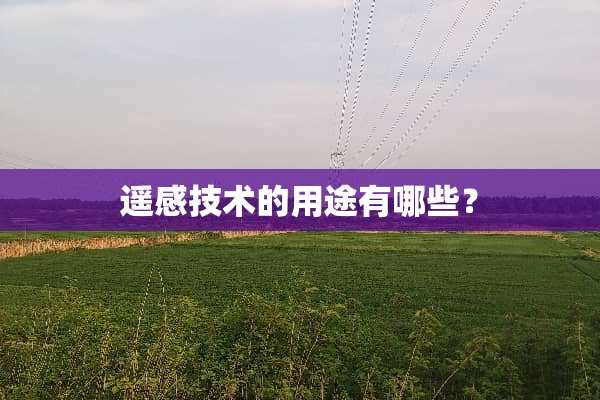 遥感技术的用途有哪些？