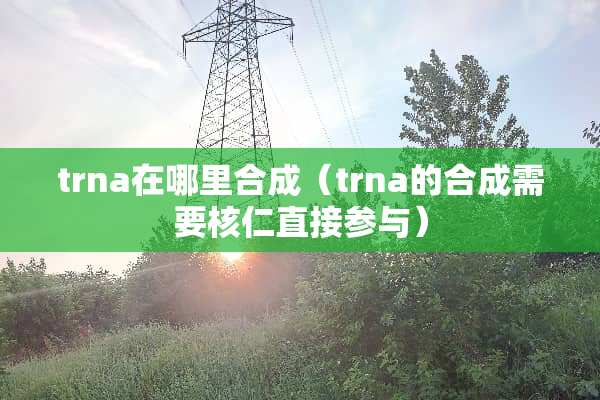 trna在哪里合成（trna的合成需要核仁直接参与）