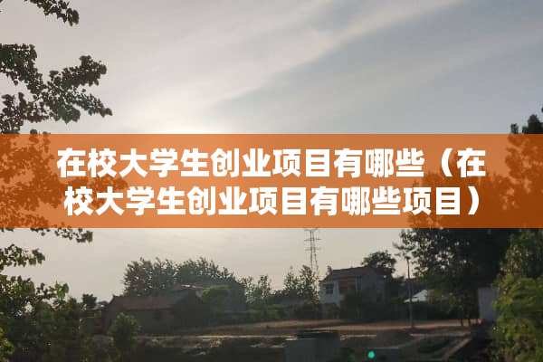 在校大学生创业项目有哪些（在校大学生创业项目有哪些项目）