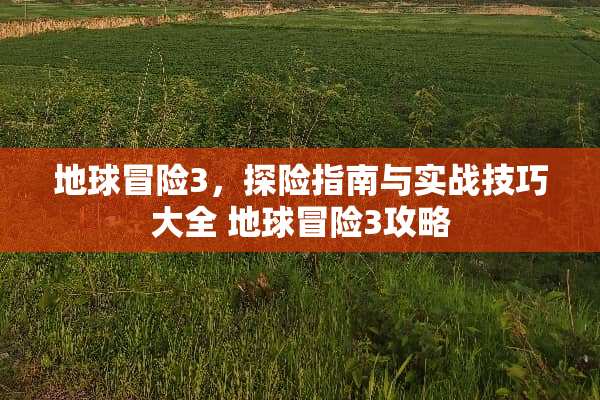 地球冒险3，探险指南与实战技巧大全 地球冒险3攻略
