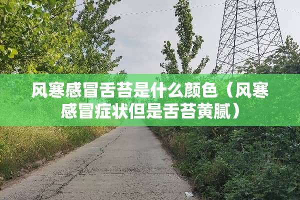 风寒感冒舌苔是什么颜色（风寒感冒症状但是舌苔黄腻）