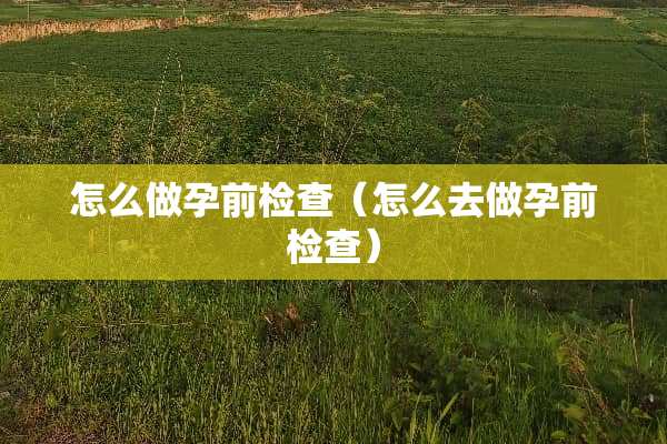 怎么做孕前检查(怎么去做孕前检查) 怎么做孕前检查(怎么去做孕前检查)