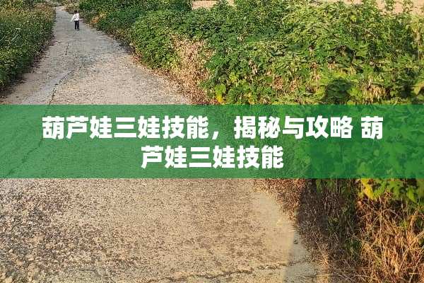 葫芦娃三娃技能，揭秘与攻略 葫芦娃三娃技能