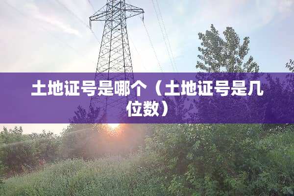 土地证号是哪个(土地证号是几位数) 土地证号是哪个(土地证号是几位数)