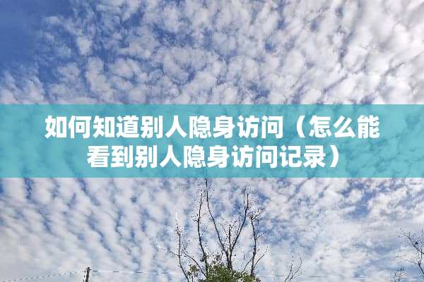 如何知道别人隐身访问（怎么能看到别人隐身访问记录）